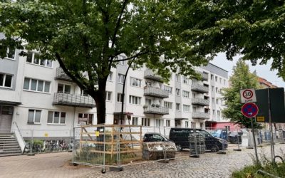 Grün trifft Ziegel: Das Projekt „Bloom & Bricks“